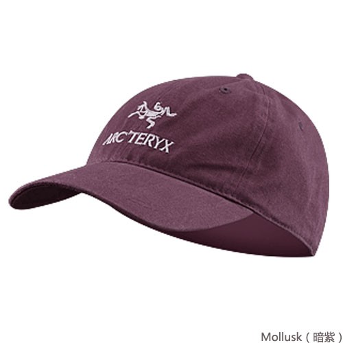 ARCTERYX(始祖鸟)Embroidered Bird/Word Cap 帽子新品上市！！！